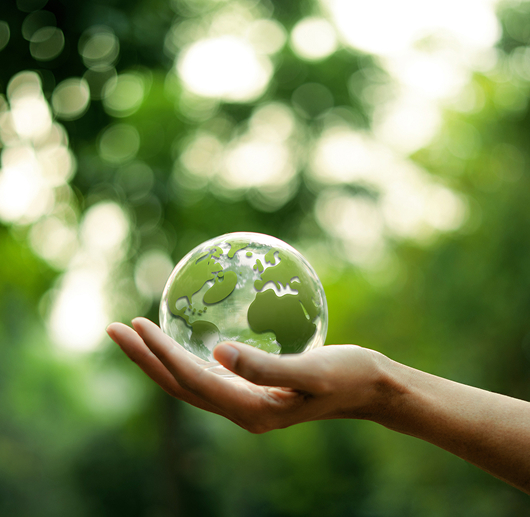 緑の地球の写真