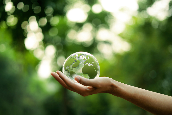 緑の地球の写真